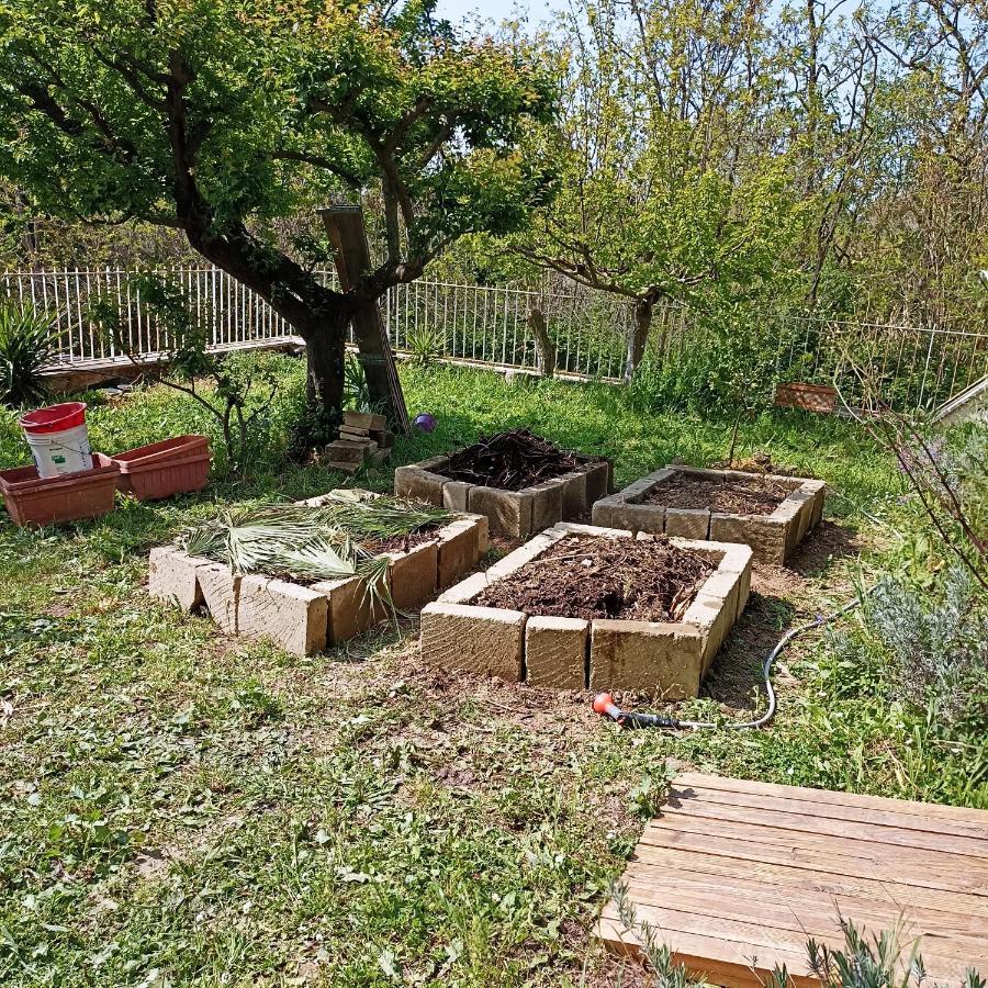 Ripe'S Forest Garden Guest House Rome Luaran gambar